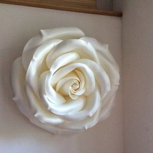 Meet your Posher, Raquel